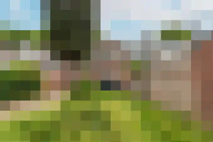 Sterregaarde 7 Nieuwegein thumbnail 9
