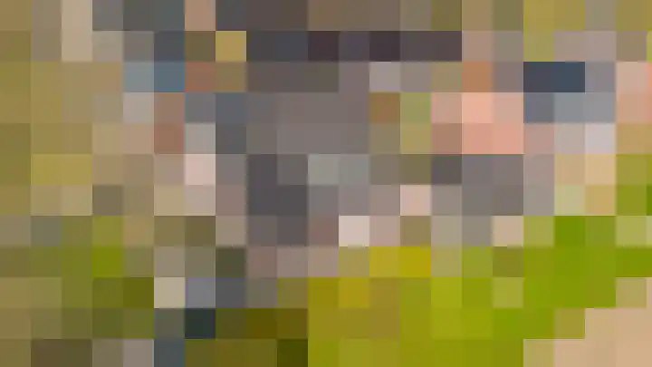 Sterrekamp 45 Nieuwehorne thumbnail 11