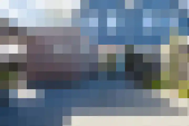 Sterrekamp 45 Nieuwehorne thumbnail 14