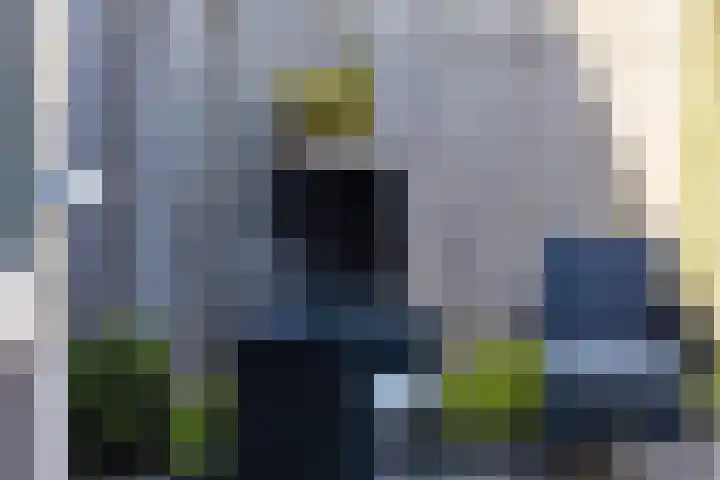 Sterrekamp 45 Nieuwehorne thumbnail 15