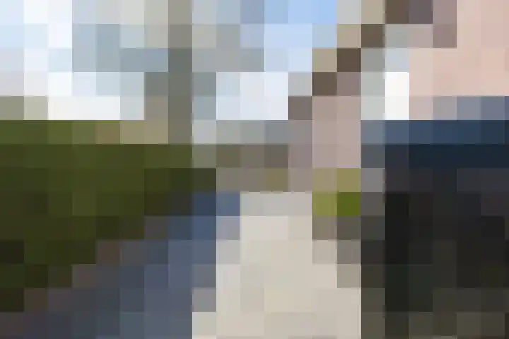 Sterrekamp 45 Nieuwehorne thumbnail 22