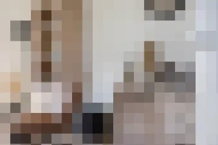 Sterrekamp 45 Nieuwehorne thumbnail 26