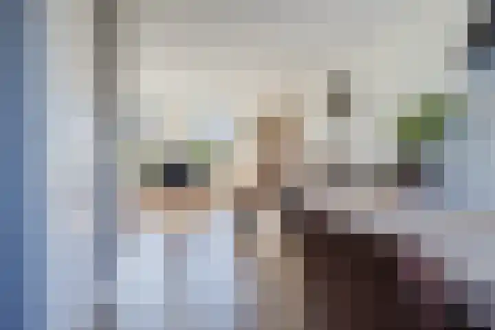 Sterrekamp 45 Nieuwehorne thumbnail 27