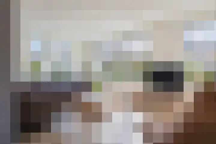 Sterrekamp 45 Nieuwehorne thumbnail 28