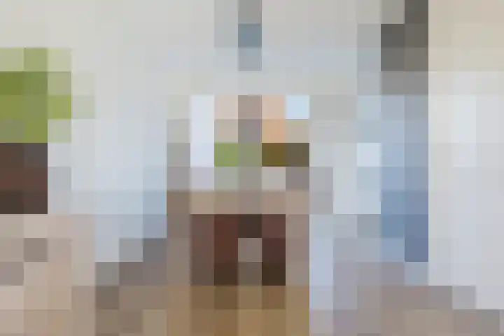 Sterrekamp 45 Nieuwehorne thumbnail 32