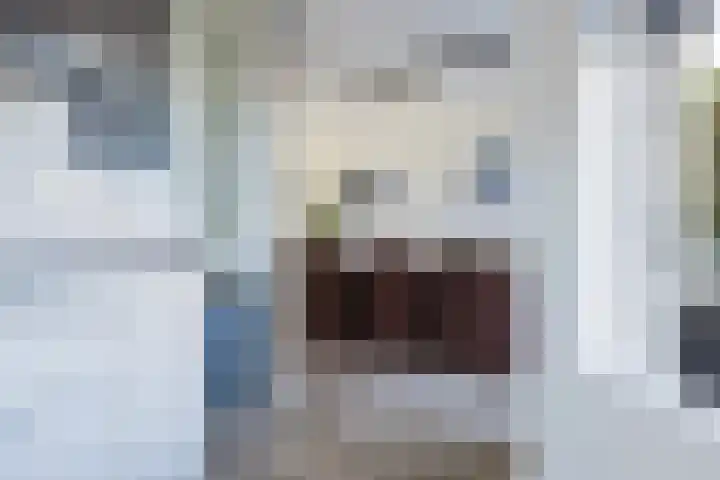 Sterrekamp 45 Nieuwehorne thumbnail 33