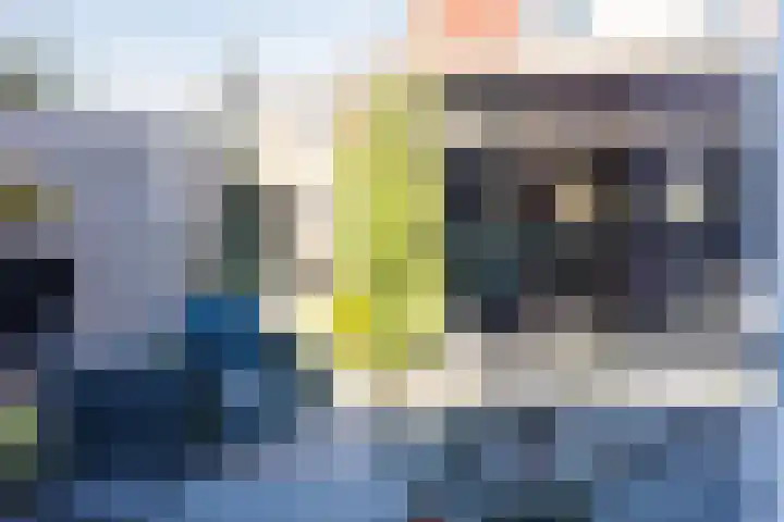 Sterrekamp 45 Nieuwehorne thumbnail 36