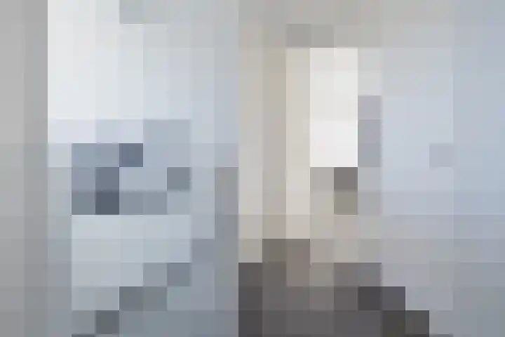 Sterrekamp 45 Nieuwehorne thumbnail 39