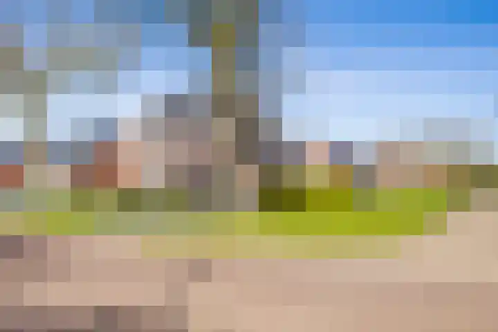 Sterrekamp 45 Nieuwehorne thumbnail 7