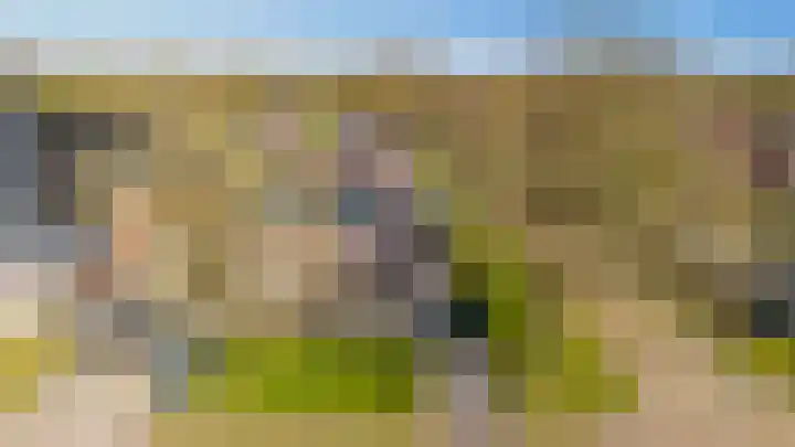 Sterrekamp 45 Nieuwehorne thumbnail 9