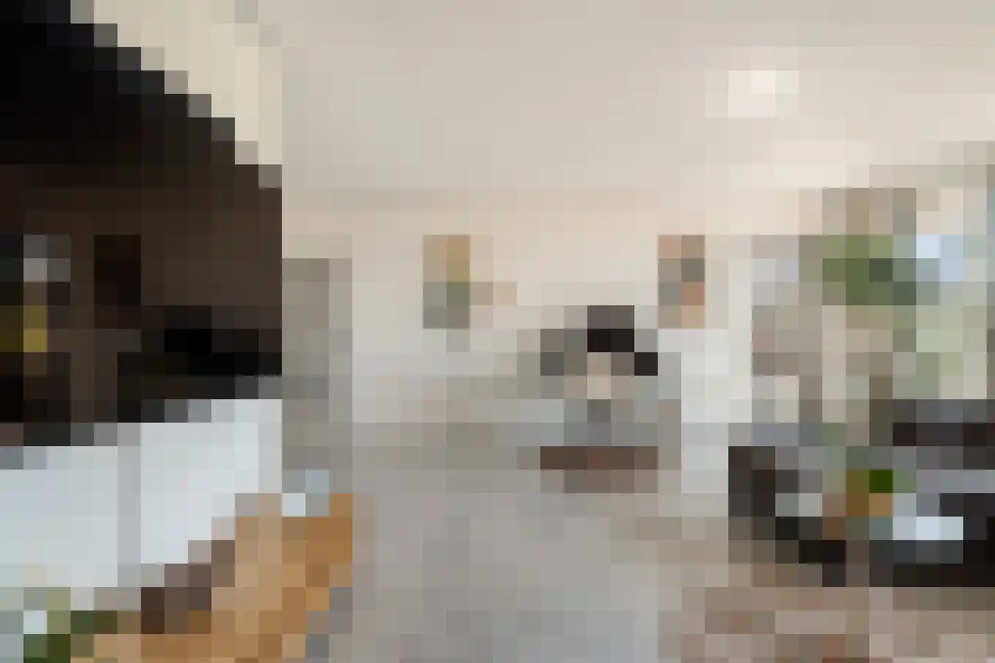 Sterrekinderen erf 12 Capelle aan den IJssel thumbnail 12
