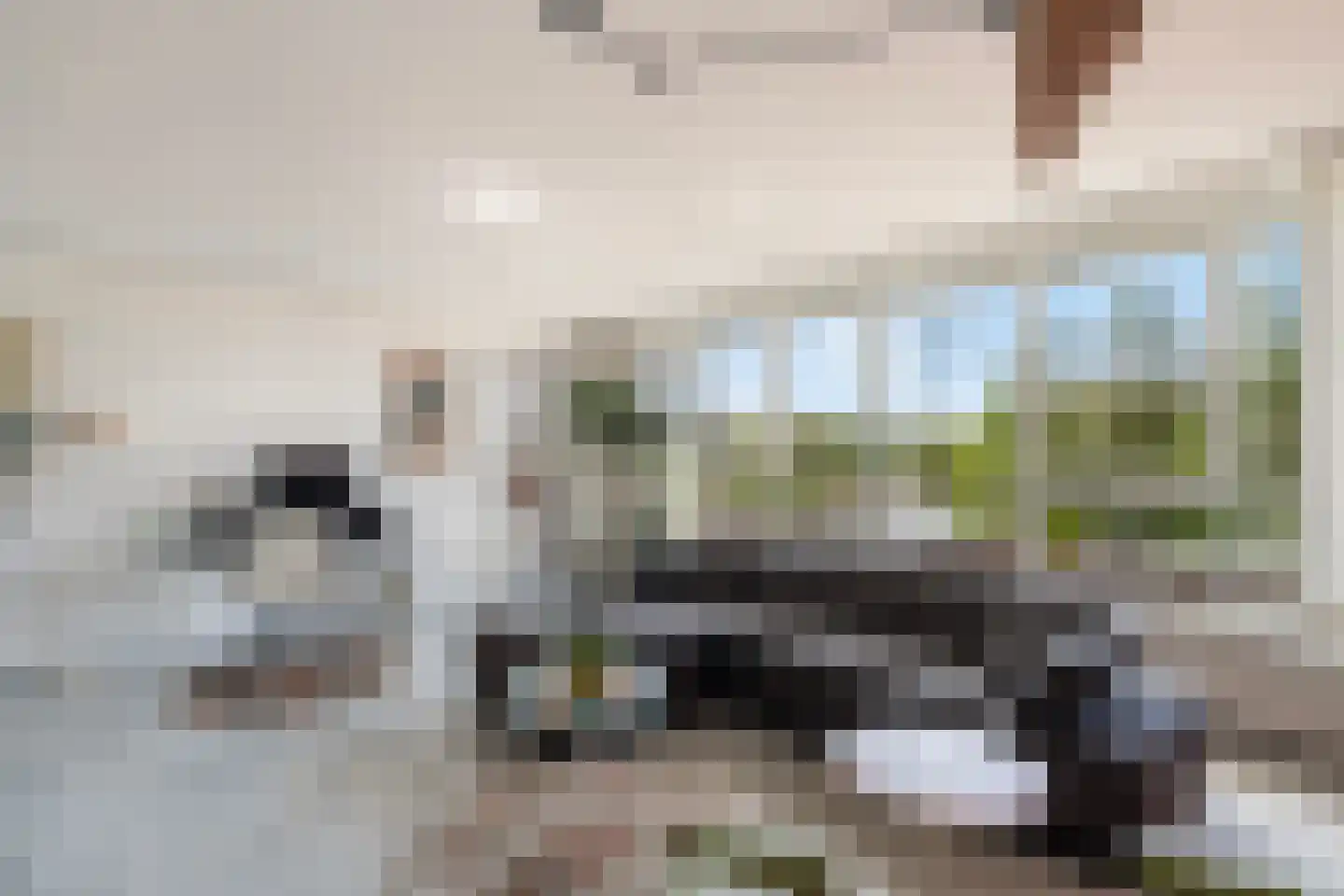 Sterrekinderen erf 12 Capelle aan den IJssel thumbnail 13