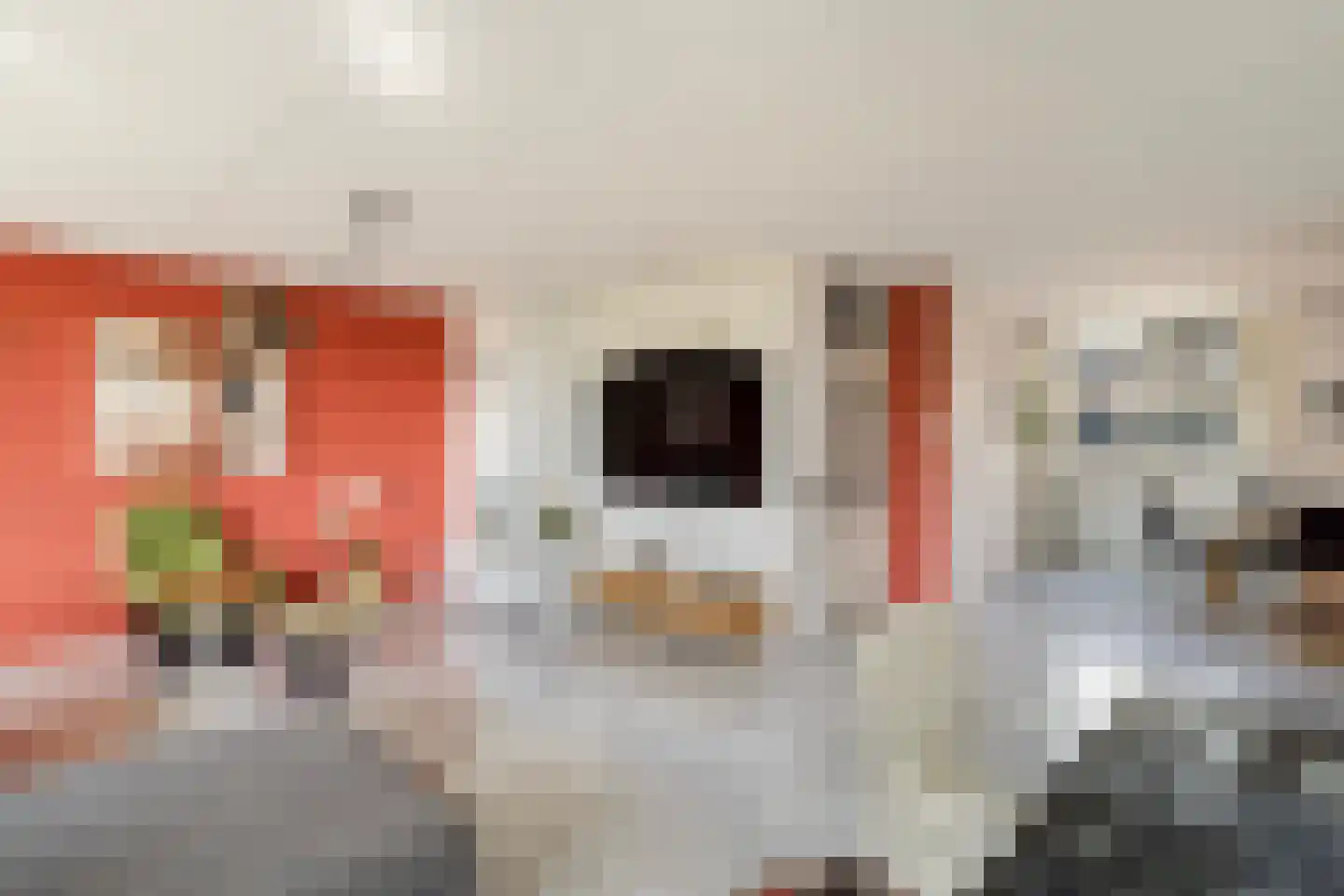 Sterrekinderen erf 12 Capelle aan den IJssel thumbnail 15