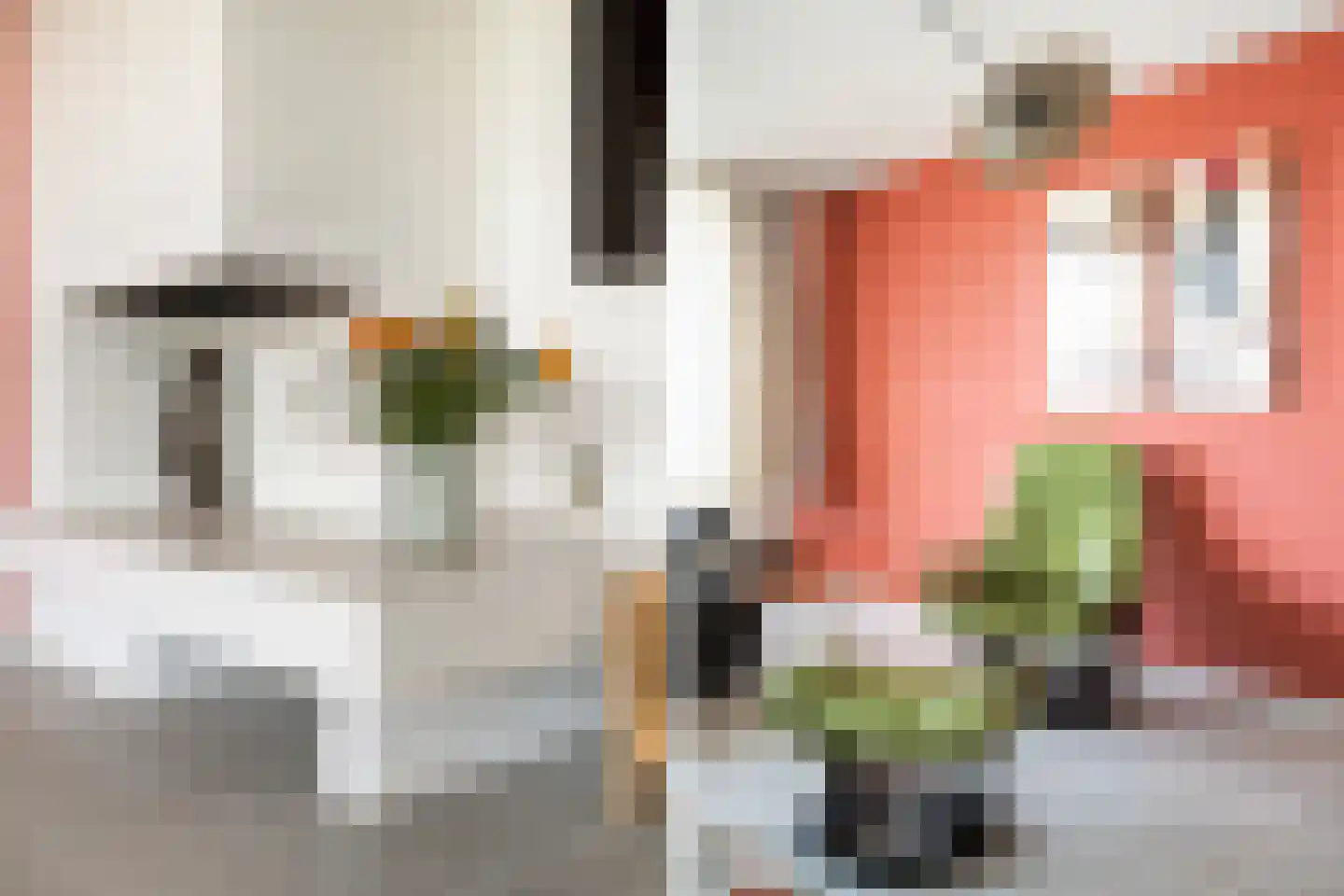 Sterrekinderen erf 12 Capelle aan den IJssel thumbnail 18