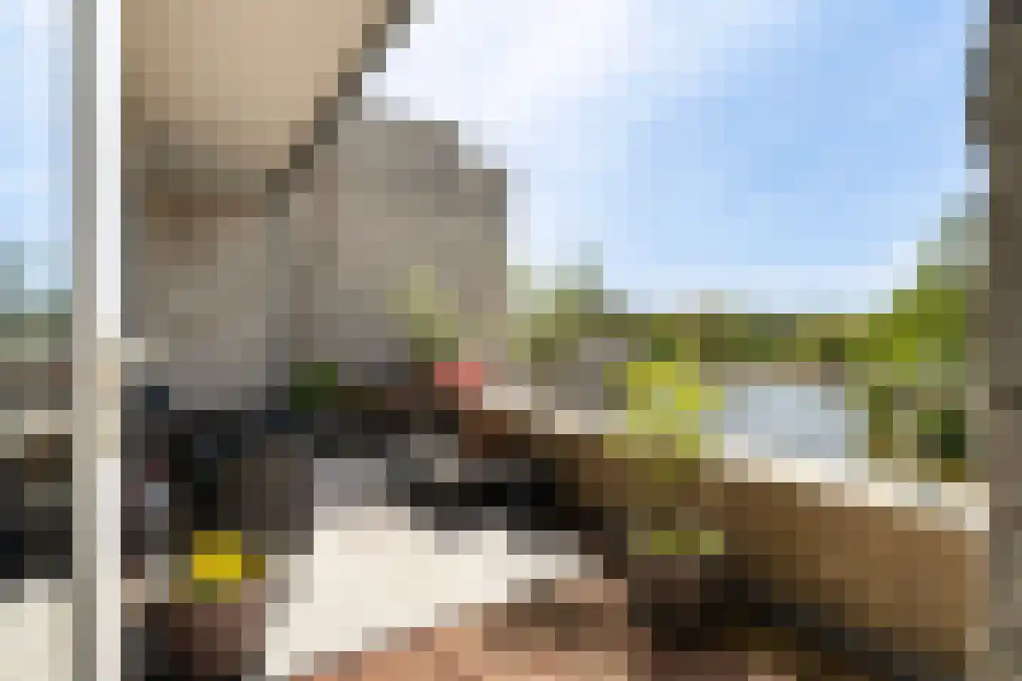 Sterrekinderen erf 12 Capelle aan den IJssel foto 2