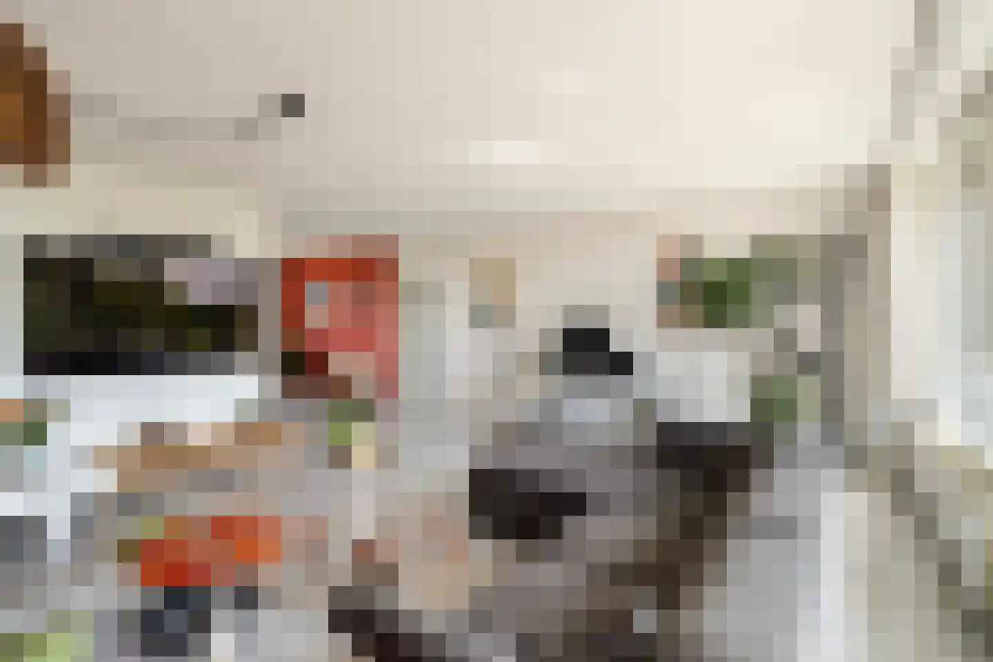 Sterrekinderen erf 12 Capelle aan den IJssel thumbnail 20