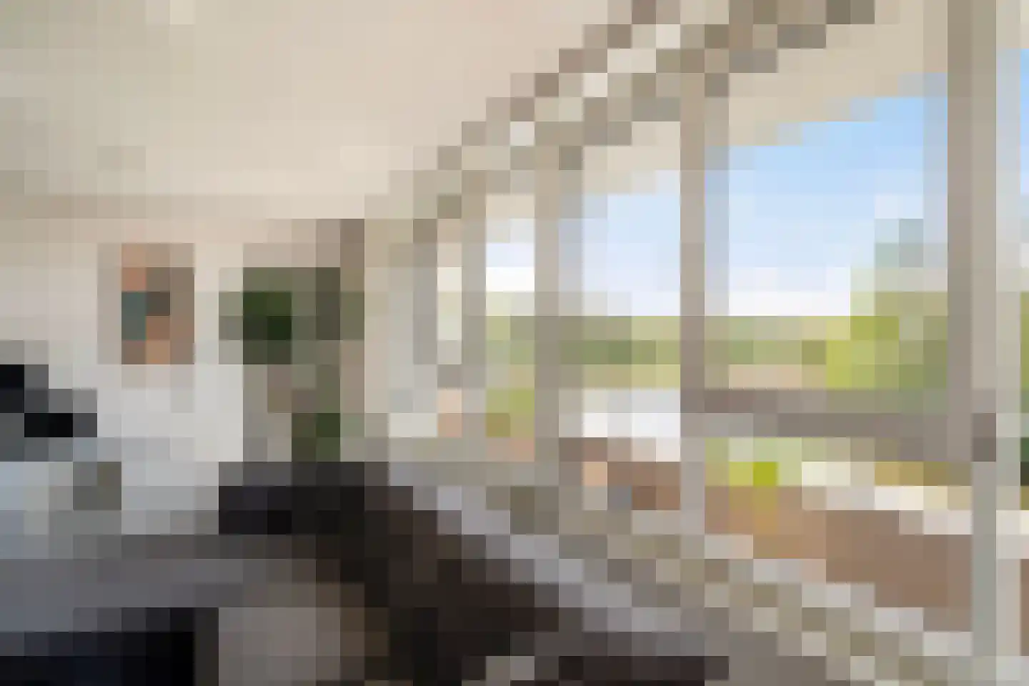 Sterrekinderen erf 12 Capelle aan den IJssel thumbnail 21
