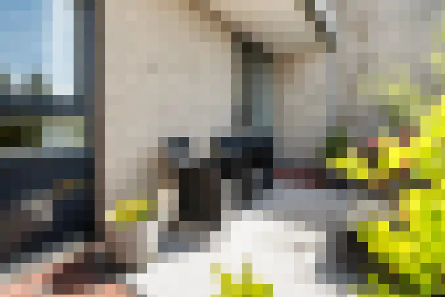 Sterrekinderen erf 12 Capelle aan den IJssel thumbnail 22