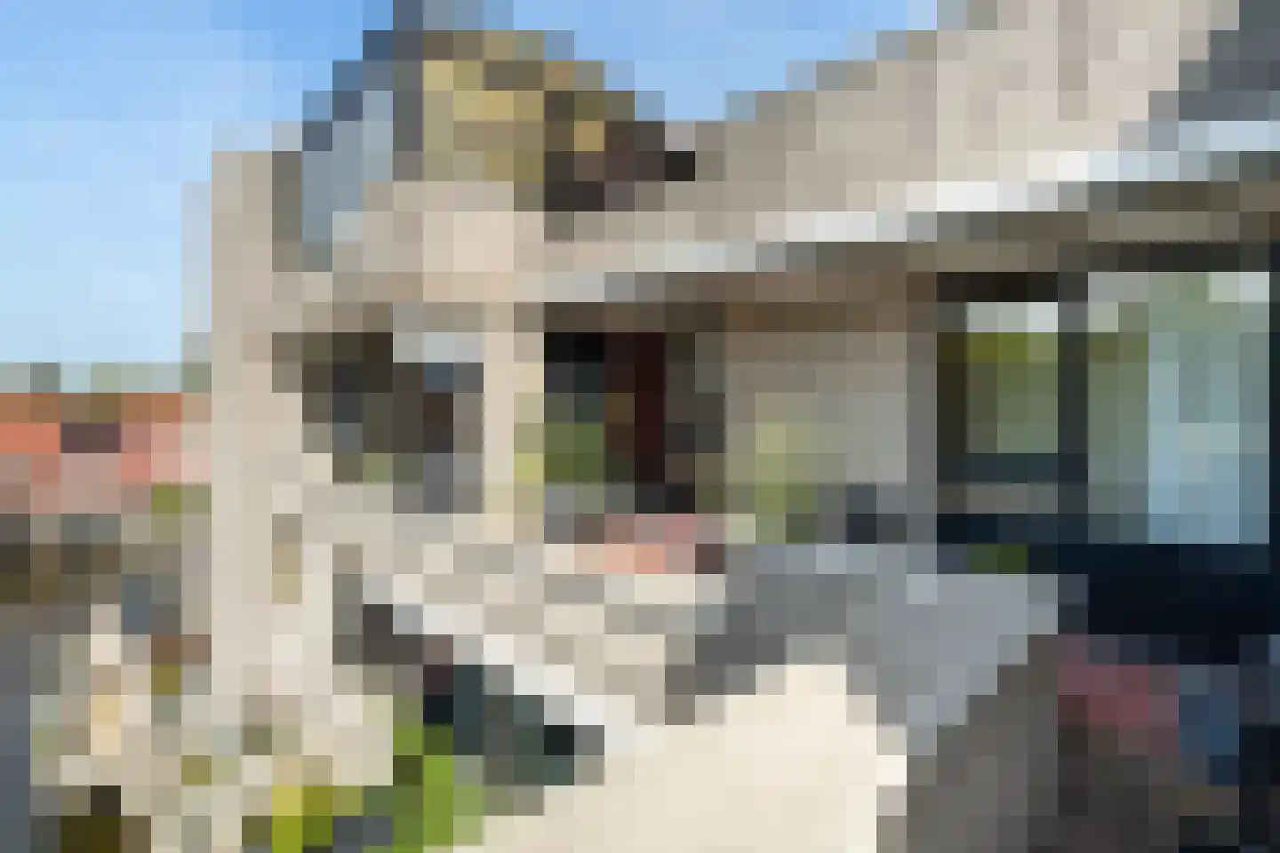 Sterrekinderen erf 12 Capelle aan den IJssel thumbnail 25