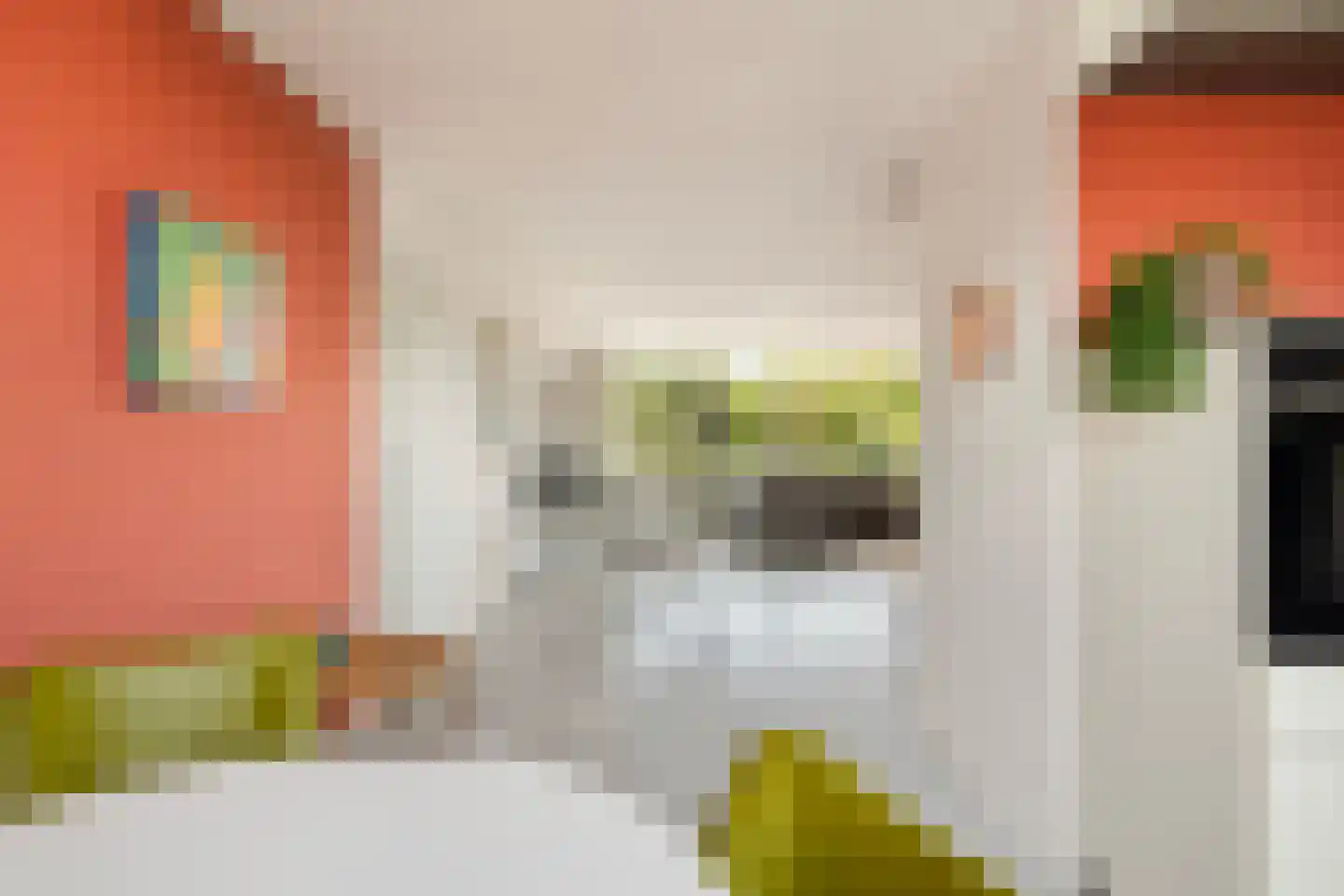 Sterrekinderen erf 12 Capelle aan den IJssel thumbnail 27