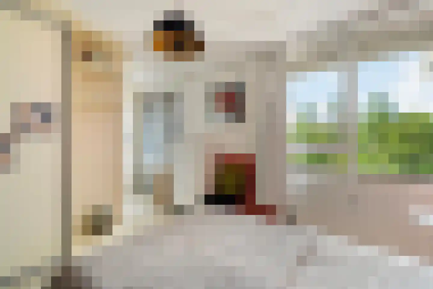 Sterrekinderen erf 12 Capelle aan den IJssel thumbnail 37