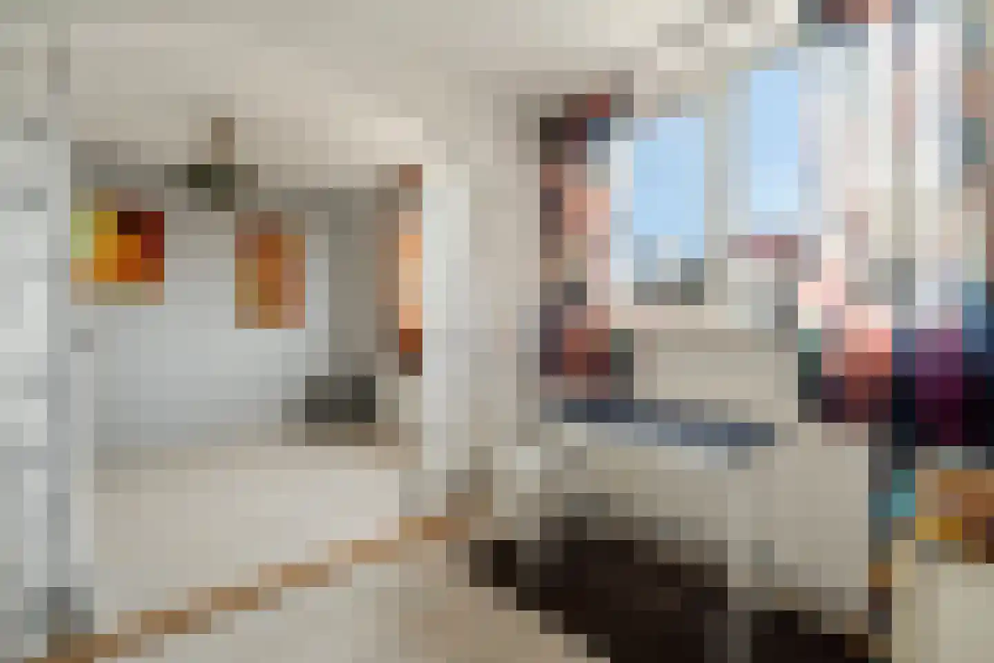 Sterrekinderen erf 12 Capelle aan den IJssel thumbnail 42