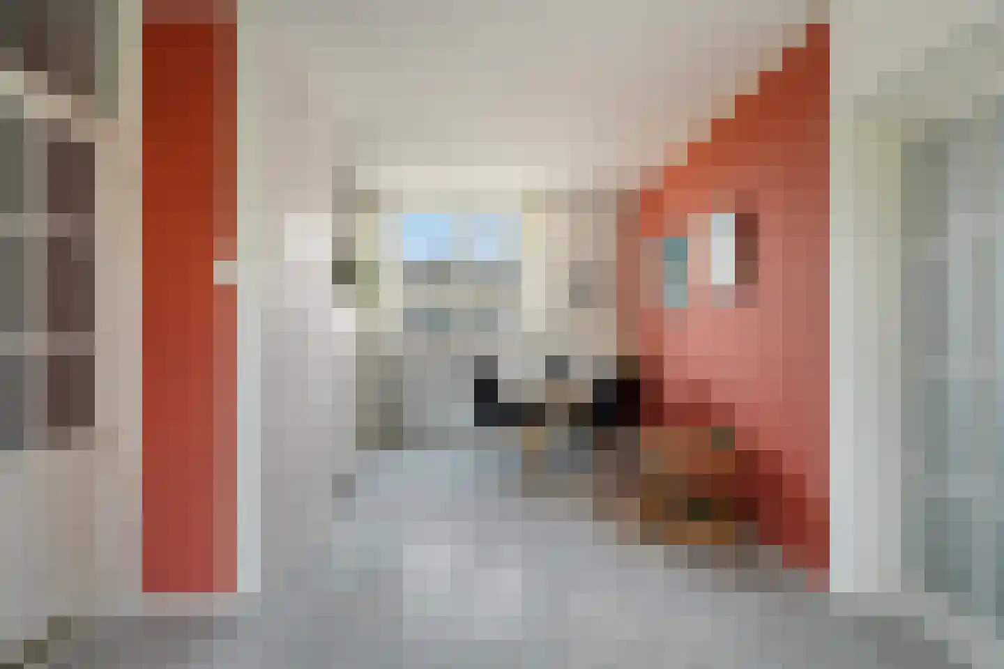 Sterrekinderen erf 12 Capelle aan den IJssel thumbnail 46
