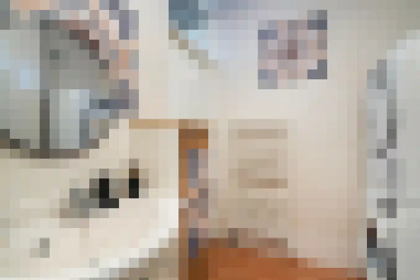 Sterrekinderen erf 12 Capelle aan den IJssel thumbnail 51
