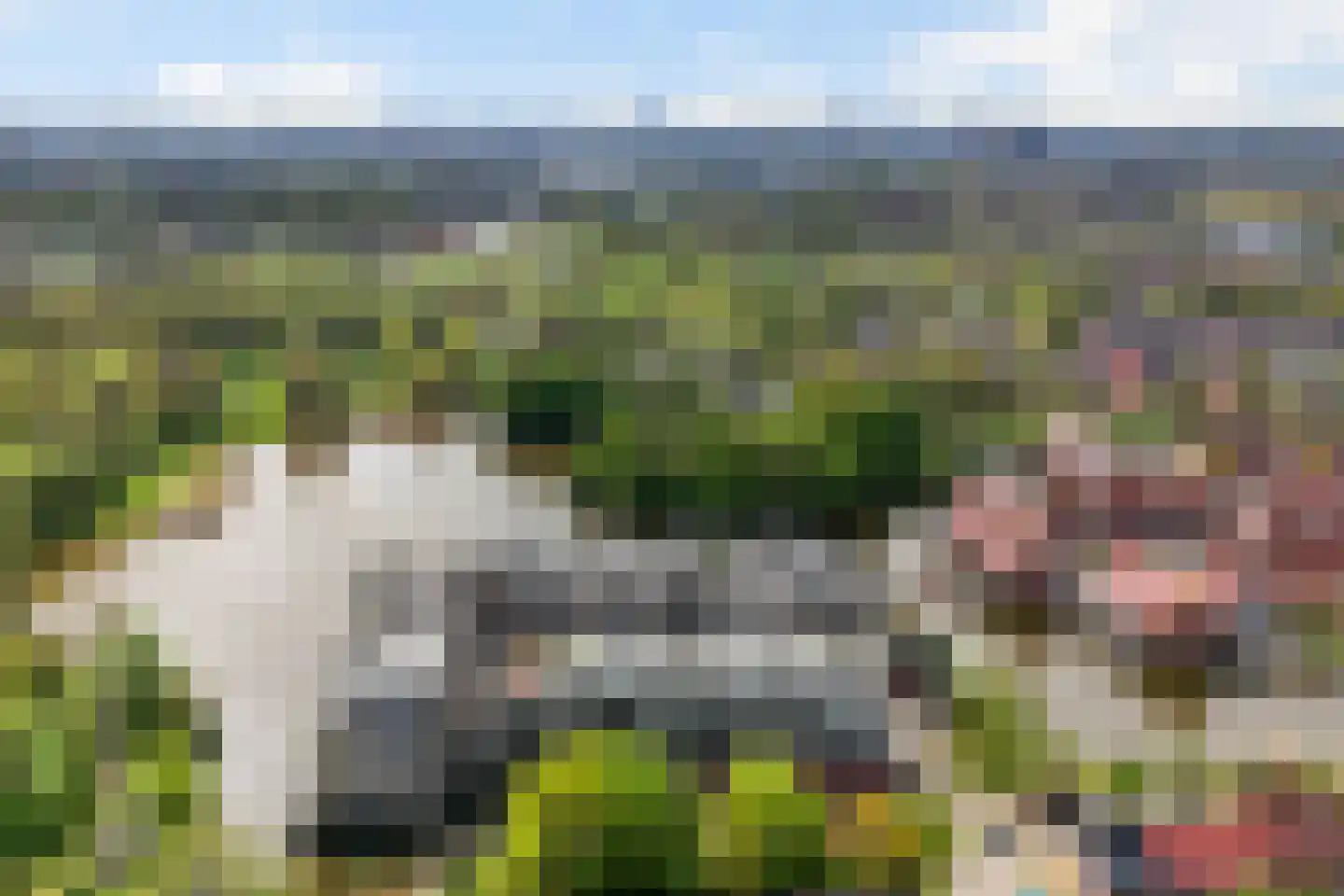 Sterrekinderen erf 12 Capelle aan den IJssel thumbnail 54