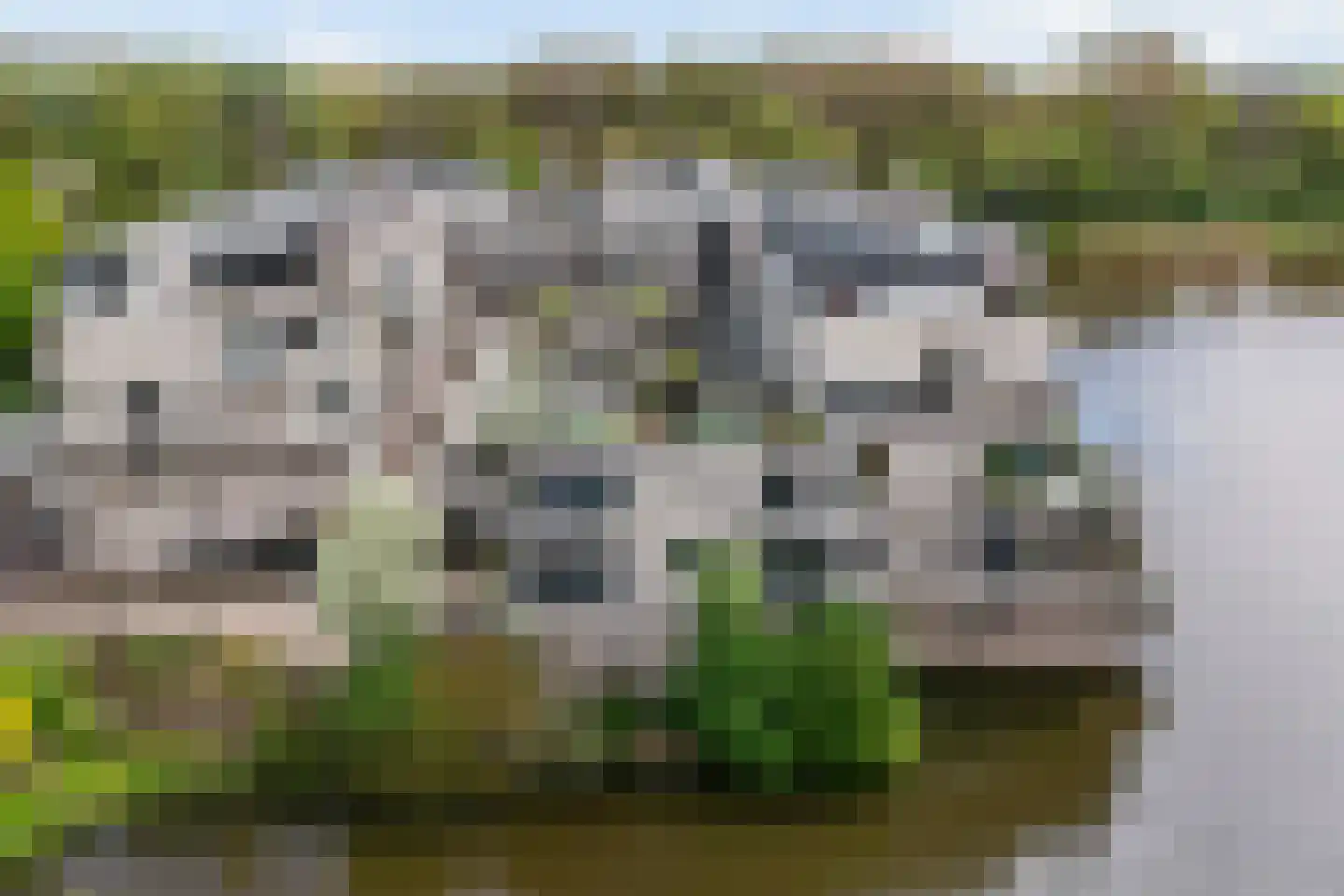 Sterrekinderen erf 12 Capelle aan den IJssel thumbnail 59