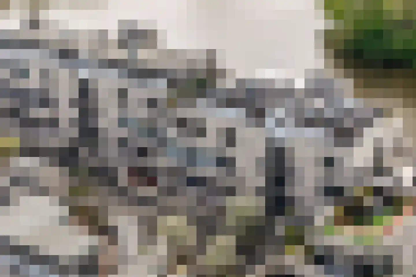 Sterrekinderen erf 12 Capelle aan den IJssel thumbnail 60