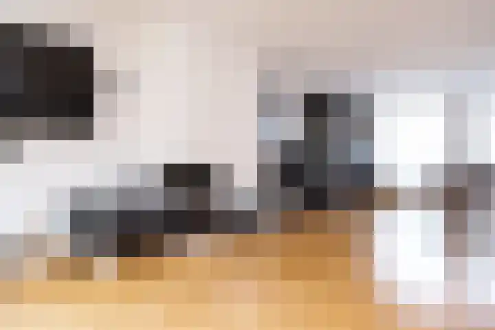 Sterrekinderen erf 55 Capelle aan den IJssel thumbnail 13