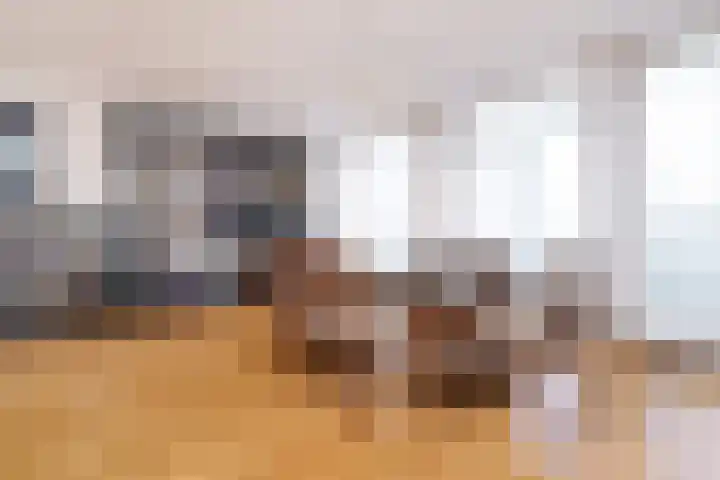 Sterrekinderen erf 55 Capelle aan den IJssel thumbnail 16