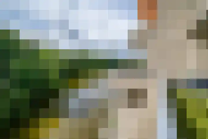 Sterrekinderen erf 55 Capelle aan den IJssel thumbnail 19