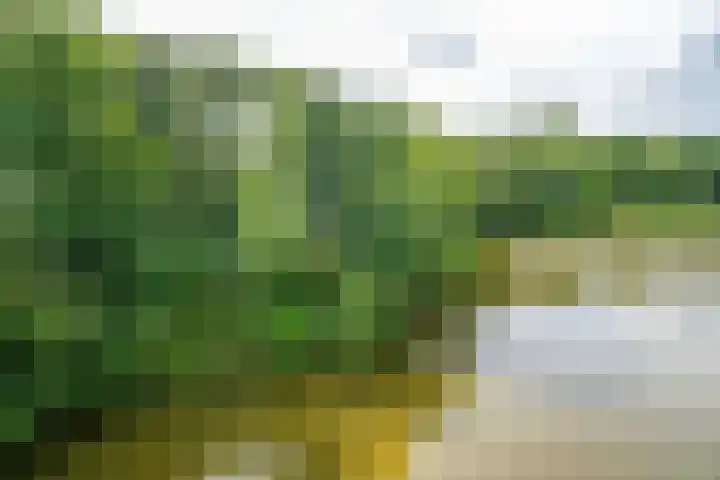 Sterrekinderen erf 55 Capelle aan den IJssel thumbnail 20