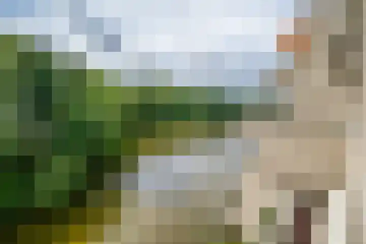 Sterrekinderen erf 55 Capelle aan den IJssel thumbnail 21