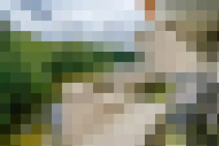 Sterrekinderen erf 55 Capelle aan den IJssel thumbnail 22