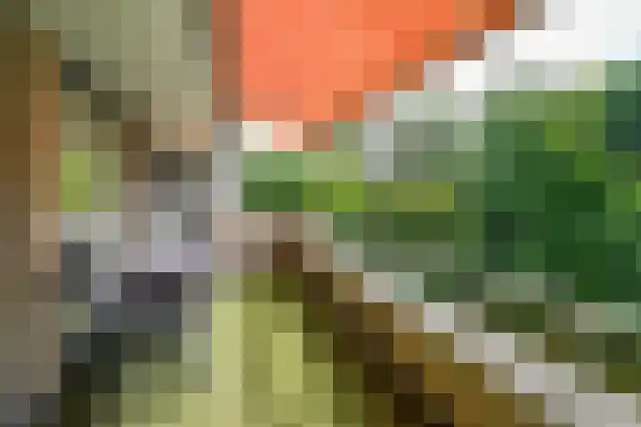Sterrekinderen erf 55 Capelle aan den IJssel thumbnail 23