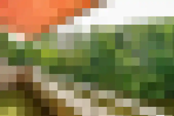 Sterrekinderen erf 55 Capelle aan den IJssel thumbnail 24