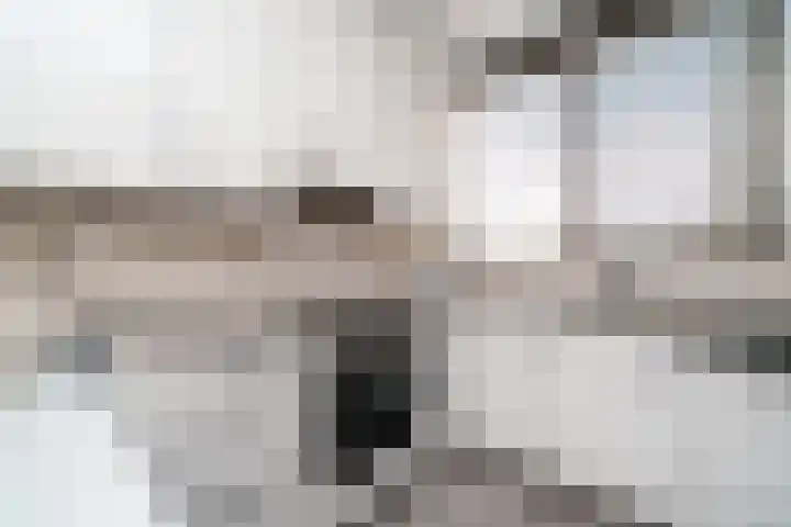 Sterrekinderen erf 55 Capelle aan den IJssel thumbnail 25
