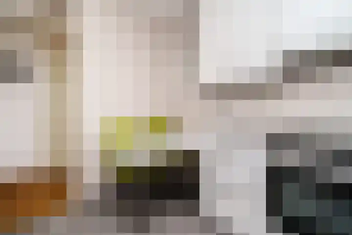 Sterrekinderen erf 55 Capelle aan den IJssel thumbnail 26