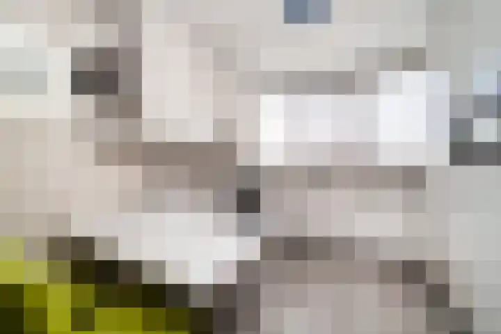 Sterrekinderen erf 55 Capelle aan den IJssel thumbnail 27