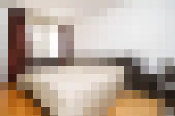 Sterrekinderen erf 55 Capelle aan den IJssel thumbnail 29