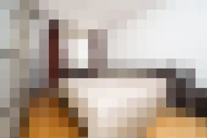 Sterrekinderen erf 55 Capelle aan den IJssel thumbnail 30
