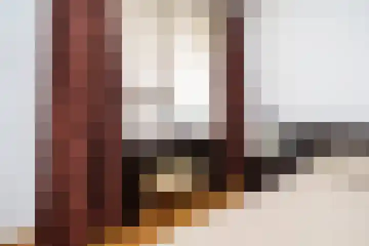 Sterrekinderen erf 55 Capelle aan den IJssel thumbnail 31
