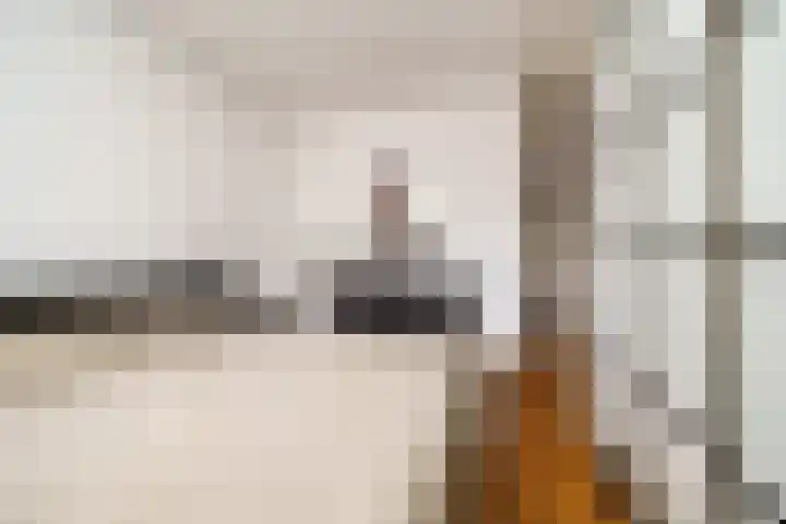 Sterrekinderen erf 55 Capelle aan den IJssel thumbnail 32