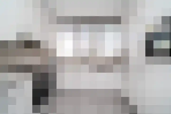Sterrekinderen erf 55 Capelle aan den IJssel thumbnail 4