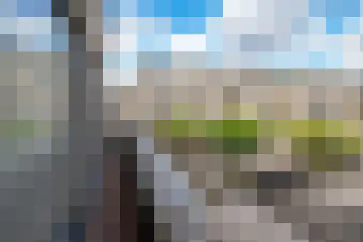 Sterrekinderen erf 55 Capelle aan den IJssel thumbnail 40