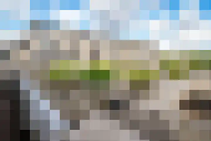 Sterrekinderen erf 55 Capelle aan den IJssel thumbnail 41