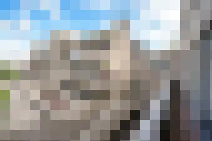 Sterrekinderen erf 55 Capelle aan den IJssel thumbnail 42